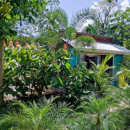 El Tucan Feliz - Jungle Tiny Guest House By Playa Cocles Buitenkant foto