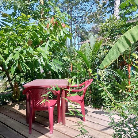 El Tucan Feliz - Jungle Tiny Guest House By Playa Cocles Buitenkant foto