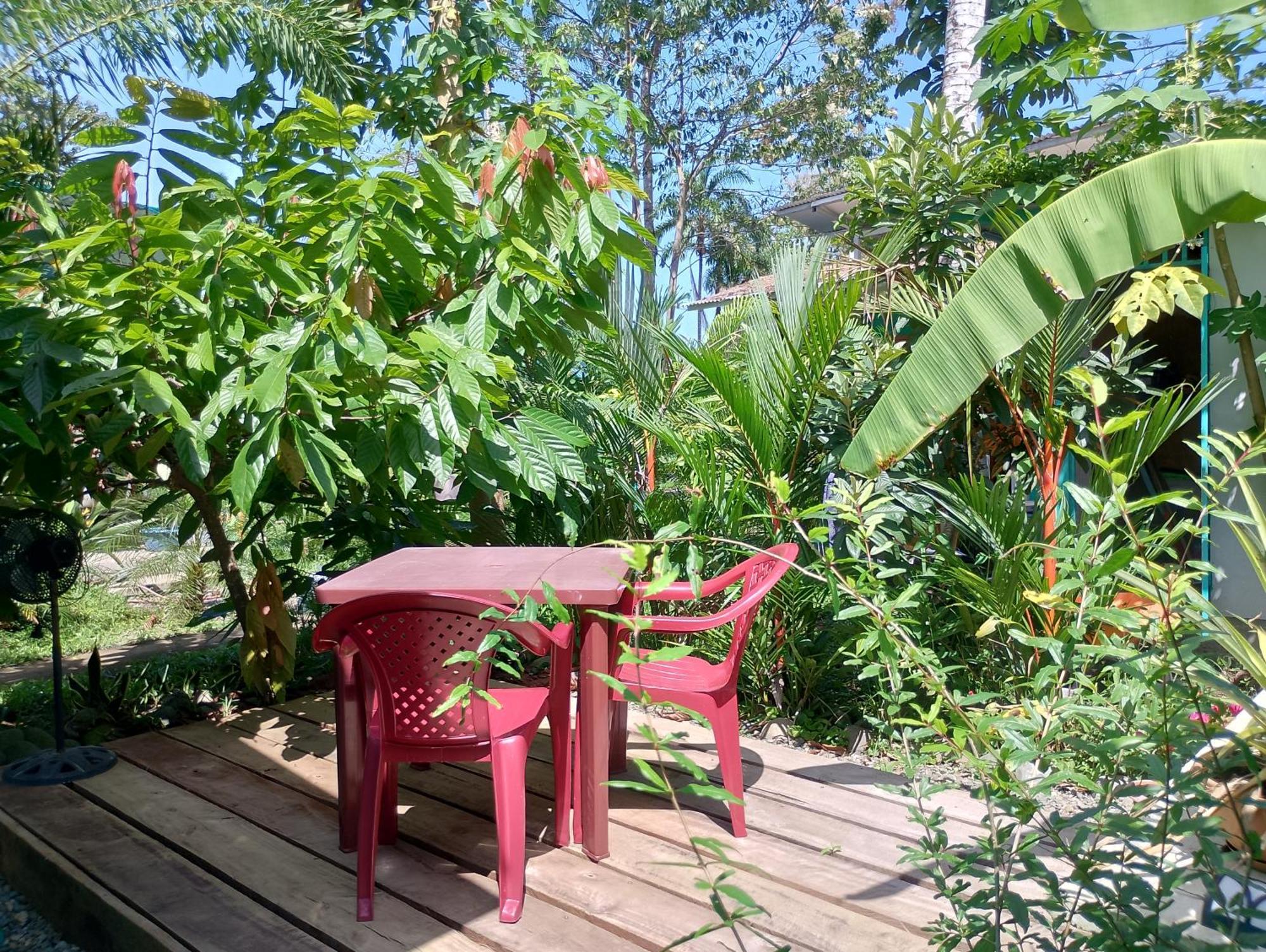 El Tucan Feliz - Jungle Tiny Guest House By Playa Cocles Buitenkant foto