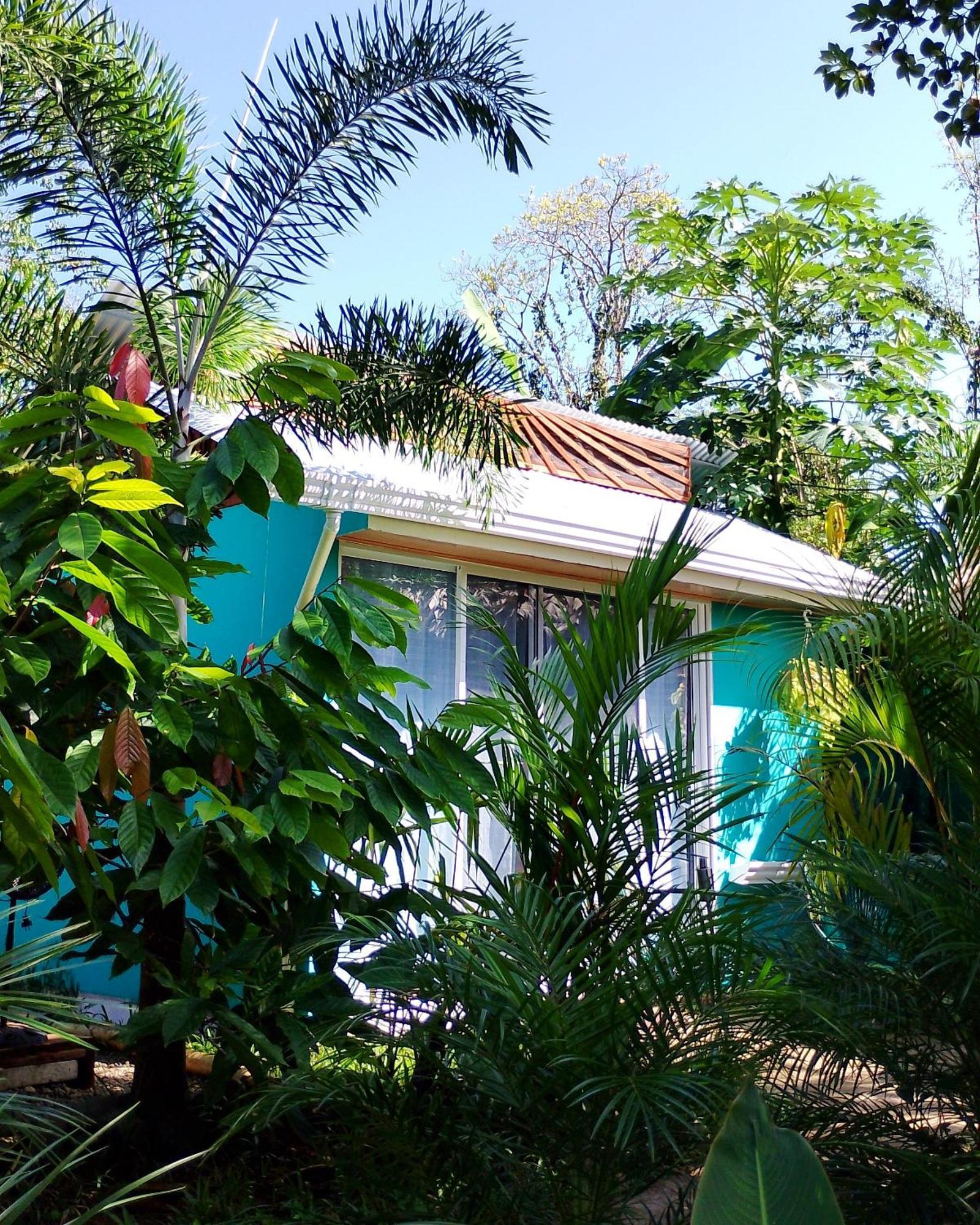 El Tucan Feliz - Jungle Tiny Guest House By Playa Cocles Buitenkant foto