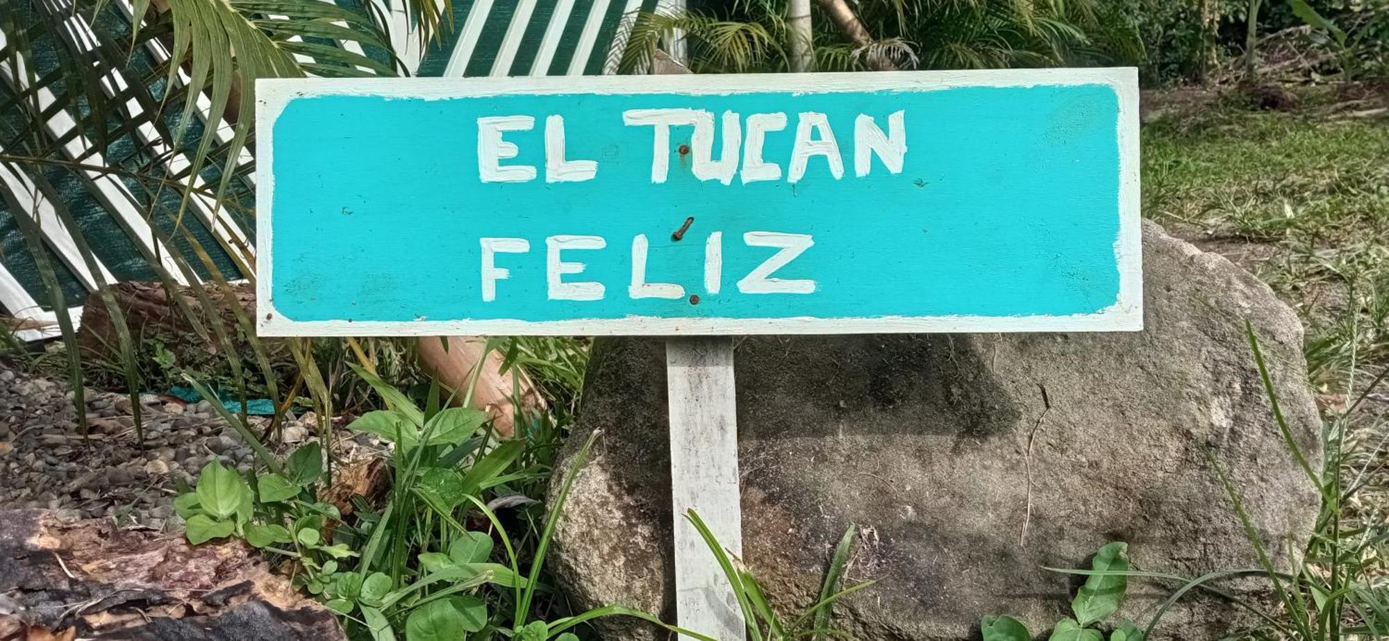 El Tucan Feliz - Jungle Tiny Guest House By Playa Cocles Buitenkant foto