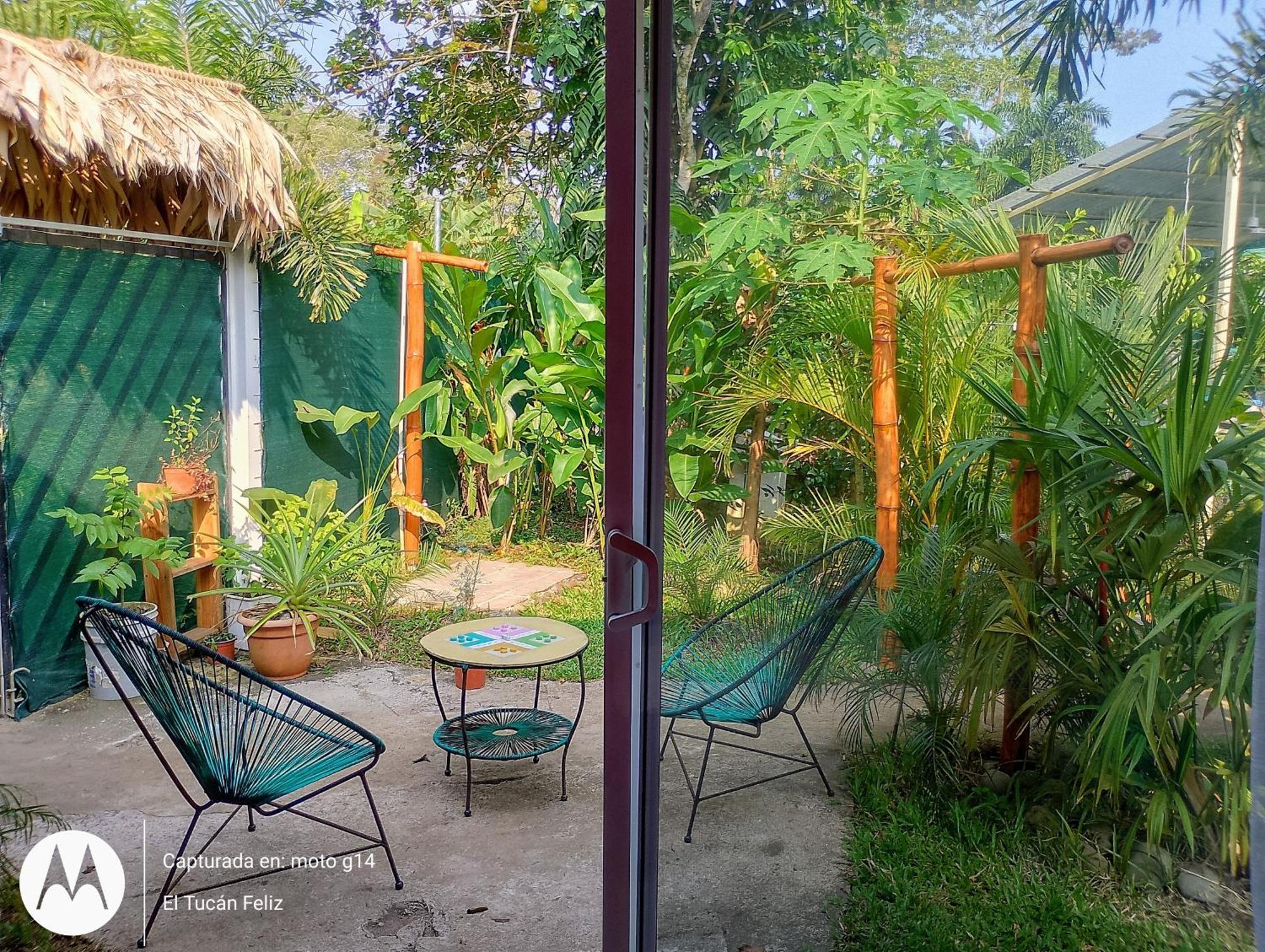 El Tucan Feliz - Jungle Tiny Guest House By Playa Cocles Buitenkant foto