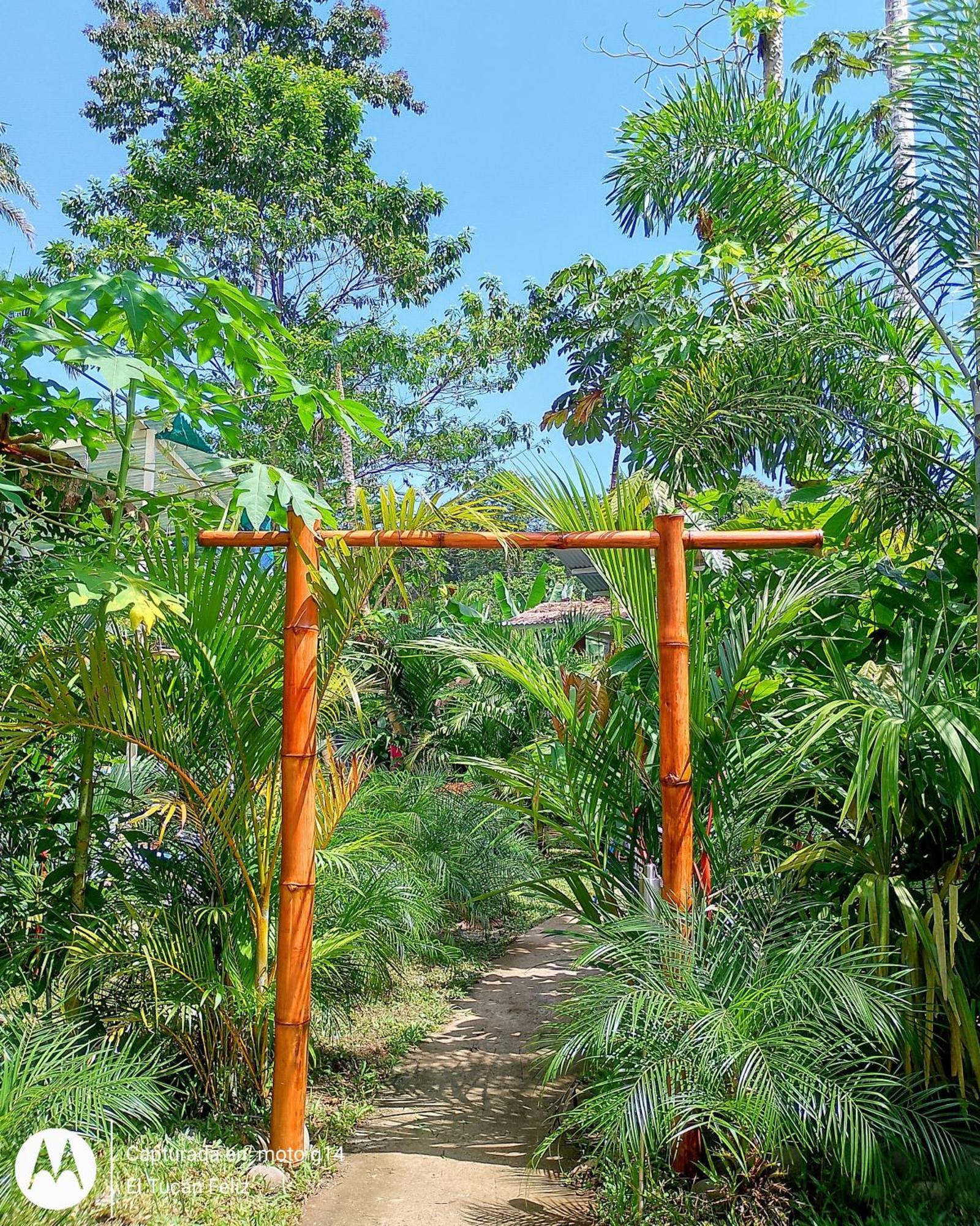 El Tucan Feliz - Jungle Tiny Guest House By Playa Cocles Buitenkant foto