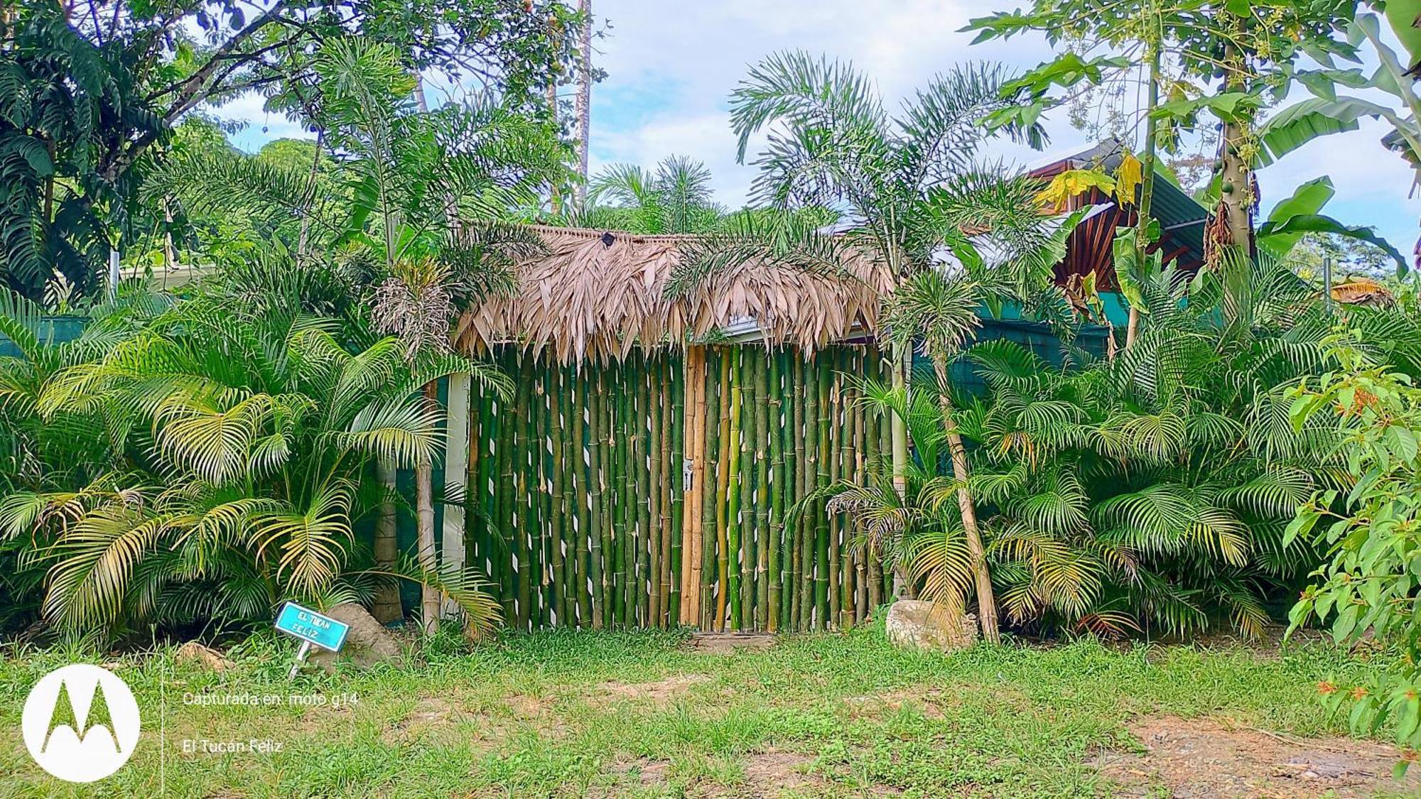 El Tucan Feliz - Jungle Tiny Guest House By Playa Cocles Buitenkant foto